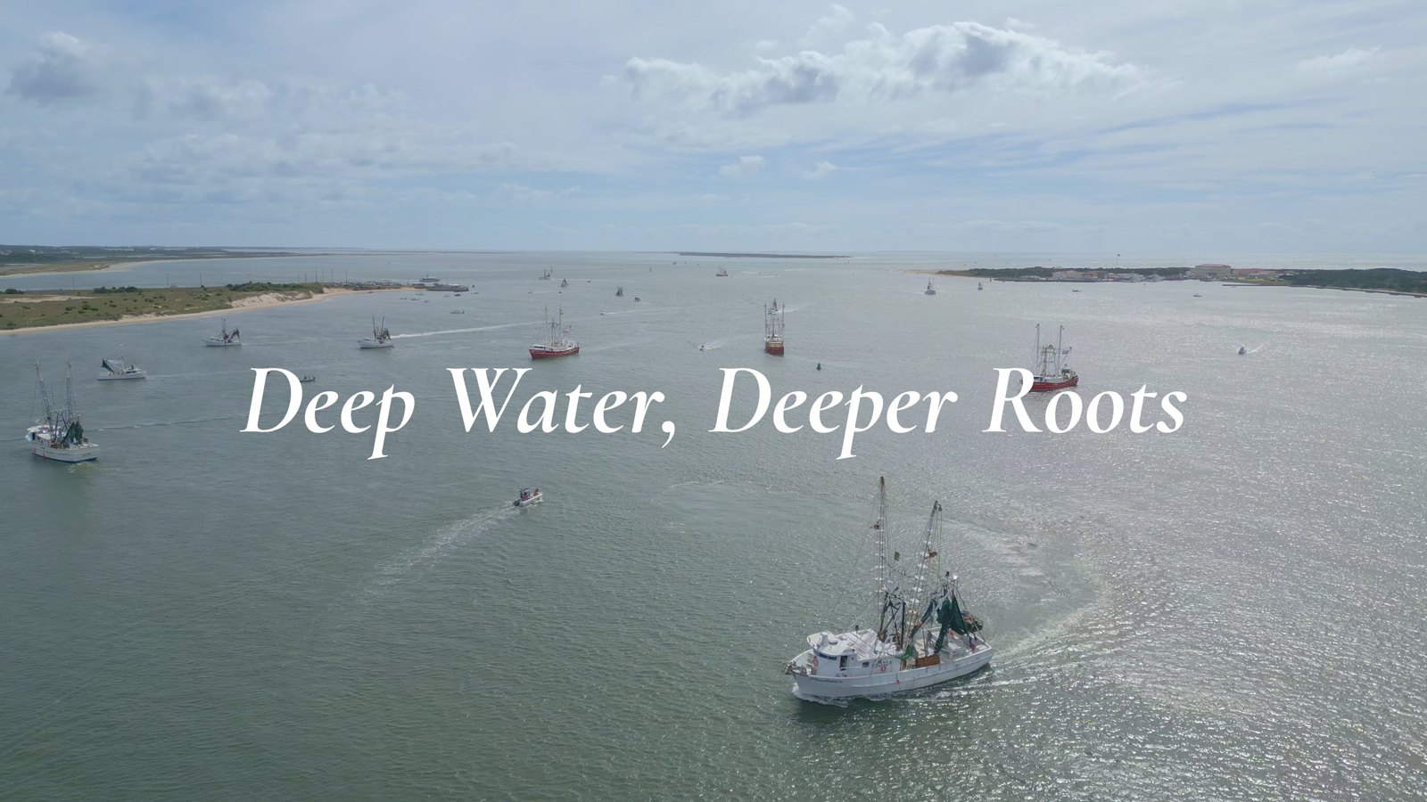 Deep Water, Deeper Roots